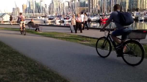 Människor ridning cyklar i stanley park — Stockvideo