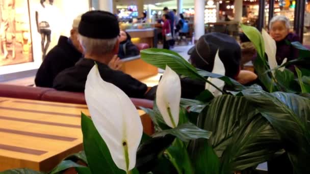 Personas mayores charlando en la zona de descanso dentro del centro comercial Lougheed . — Vídeo de stock