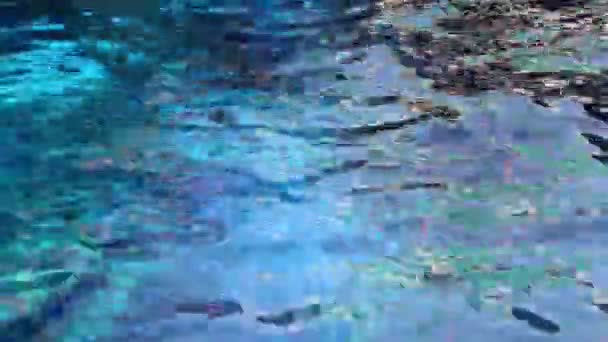 Blauer Hintergrund der Wasserwelle — Stockvideo