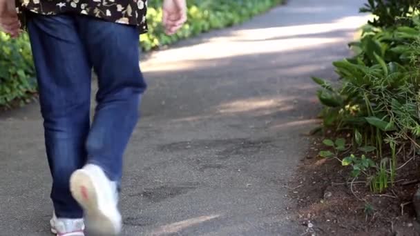 Menschen spazieren am Nachmittag durch den Park — Stockvideo