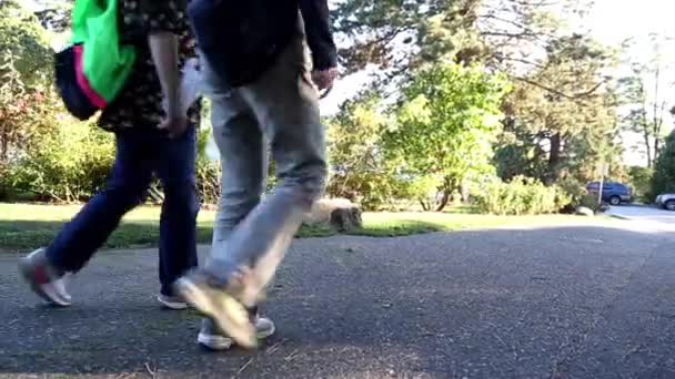 La gente camina en el parque por la tarde — Vídeo de stock