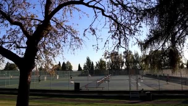 La gente juega al tenis en el parque — Vídeos de Stock