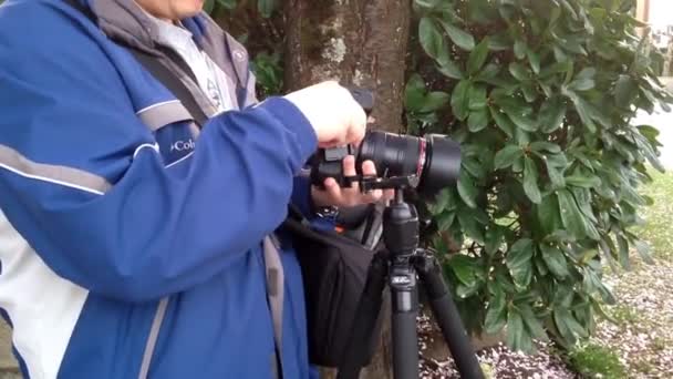 写真家が自然背景を持つデジタル一眼レフ カメラで写真を撮る前に. — ストック動画