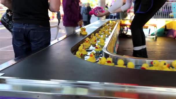 Patos amarillos flotan en el agua juego — Vídeo de stock