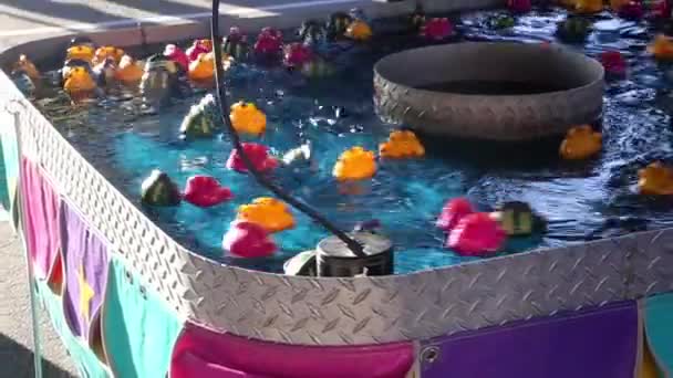 Attraper flotteur de poissons colorés dans le jeu de l'eau à la West Coast Amusements Carnaval — Video