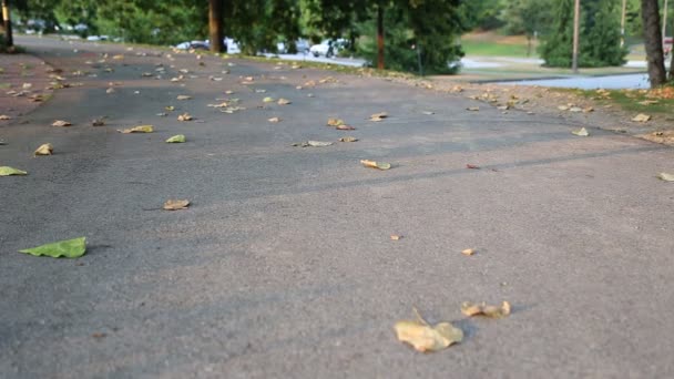 Niski kąt strzału ludzi idąc przez park — Wideo stockowe