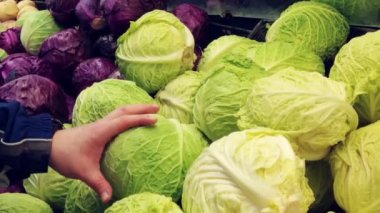 Lahana savoy markette seçme adam