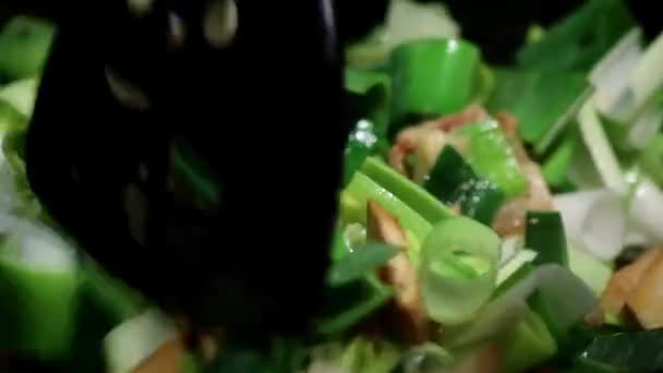 Närbild av en kvinna matlagning grönsaker och kött — Stockvideo
