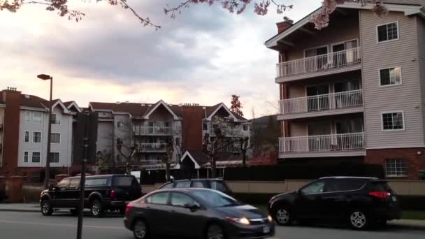 Carros passeio de rua com tulipas no lado direito na primavera — Vídeo de Stock