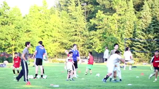 Kinderen en tiener oefenen van de vaardigheid van de voetbal — Stockvideo