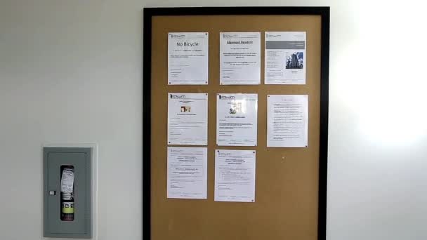 Woman reading apartment notice on brown bulletin board — Stock Video