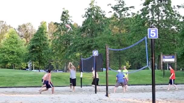 Ung man njuter av tiden tillsammans spela beachvolley — Stockvideo
