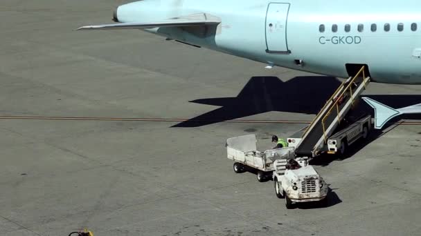 Schwerpunkt des Arbeitnehmers bei der Anordnung von Passagiergepäck zu kanadischen Flugzeugen im Terminal des Flughafens — Stockvideo