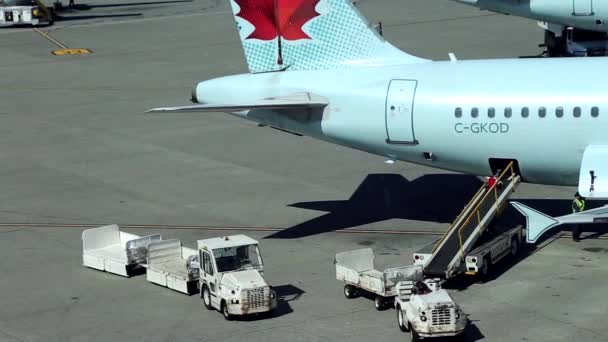 Schwerpunkt des Arbeitnehmers bei der Anordnung von Passagiergepäck zu kanadischen Flugzeugen im Terminal des Flughafens — Stockvideo