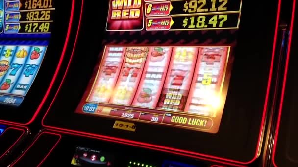 Close up donna giocare a slot machine — Video Stock