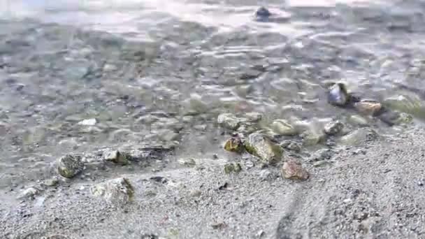 Морський берег хвиля і камінь — стокове відео