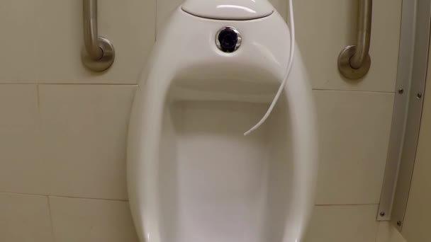 Toilet flushed inside man washroom — Stock Video