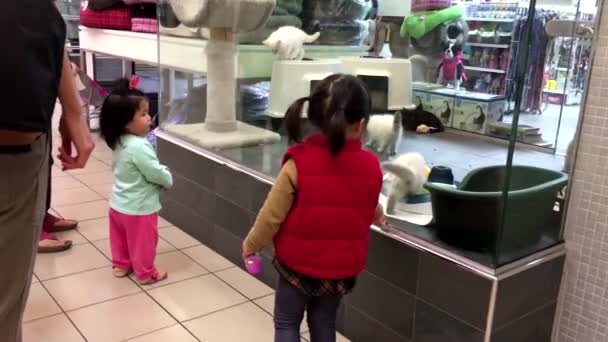 Une animalerie avec des gens autour à l'intérieur du centre commercial . — Video