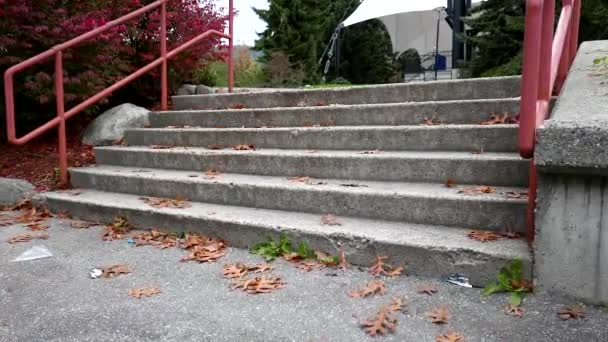 Folk går i parken om eftermiddagen. – Stock-video