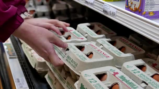 Woman selecting brown egg in grocery store produce department — Stock Video