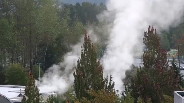 Humo pesado con fondo natural — Vídeo de stock