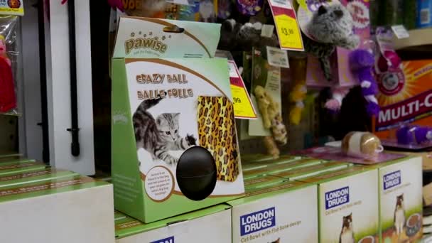Женщина покупает Павизе сумасшедший шар для кота в лондонском аптеке — стоковое видео
