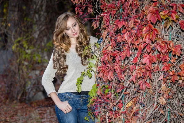 The girl in autumn — Stock Photo, Image