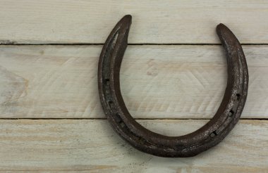 bir ahşap zemin üzerinde nal