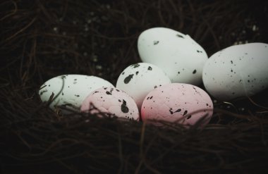 Yuvadaki paskalya yumurtaları