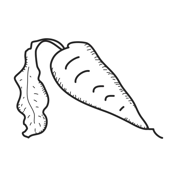 Jednoduchý doodle mrkev — Stockový vektor