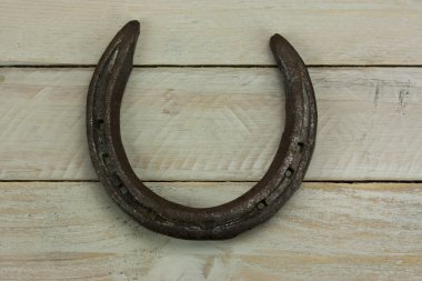 bir ahşap zemin üzerinde nal