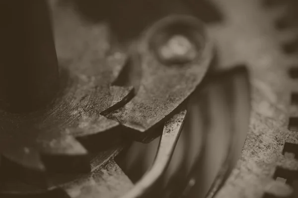 Close up of cogs inside a clock — Stock Photo, Image