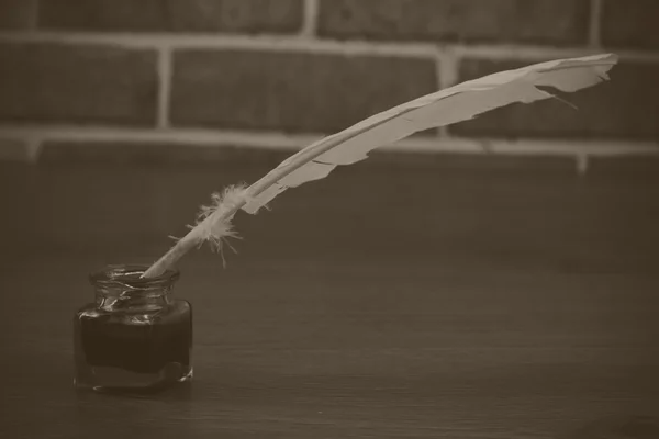 Tüy tüy kalem ile metal uç — Stok fotoğraf
