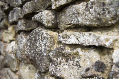 Taş bir duvara yakın.