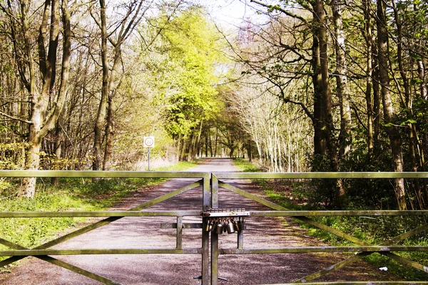 Houten poort aan de overkant weg door bossen — Stockfoto