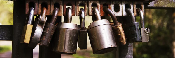 Group of padlocks on a gate — Stock Photo, Image