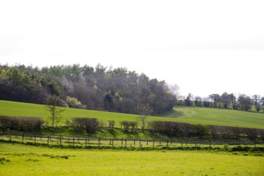 Chilterns, İngiltere'de küçük Ankara yakınındaki üzerinde göster