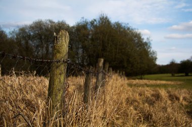 Bir alan kenarı boyunca dikenli tel çit