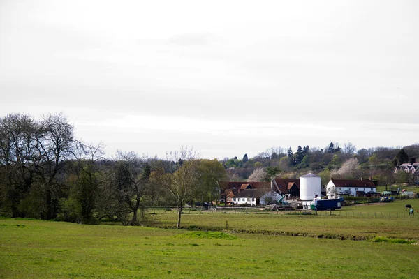 View over the countryside in the Chilterns — Stock Photo, Image