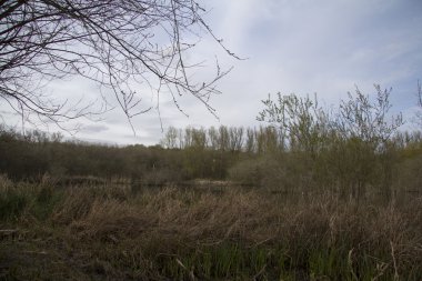 Chilterns, Engalnd nehir Misbourne