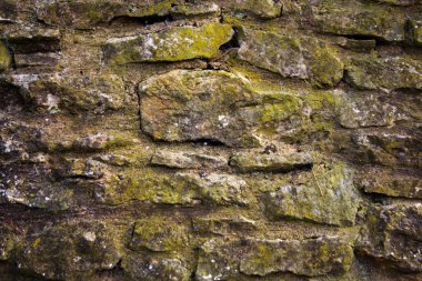 Taş bir duvara yakın.