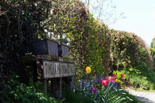 Fiori fuori case in Chilterns, Inghilterra — Foto Stock