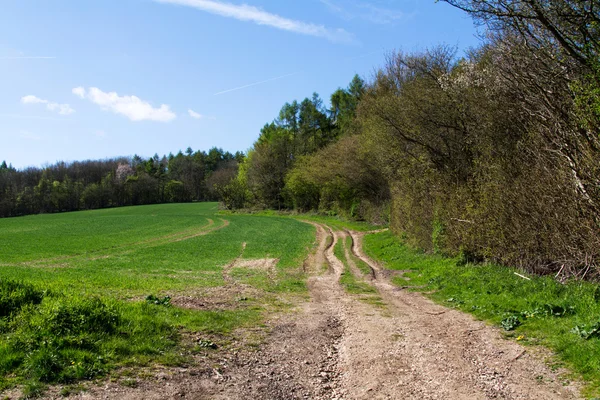 Veduta lungo un sentiero nei Chilterns, Inghilterra — Foto Stock