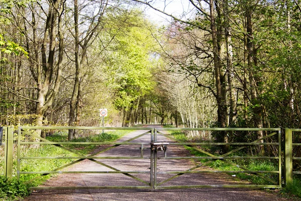 Puerta de madera a través de la carretera a través de bosques —  Fotos de Stock