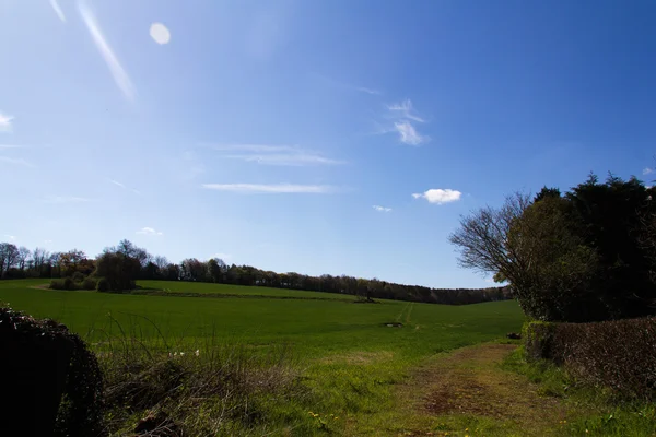 Ciel bleu sur la campagne dans les Chilterns — Photo