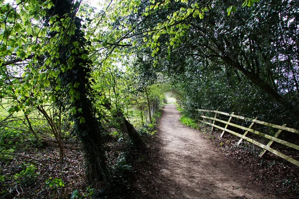 View along a path in the Chilterns, England — Stock Photo, Image