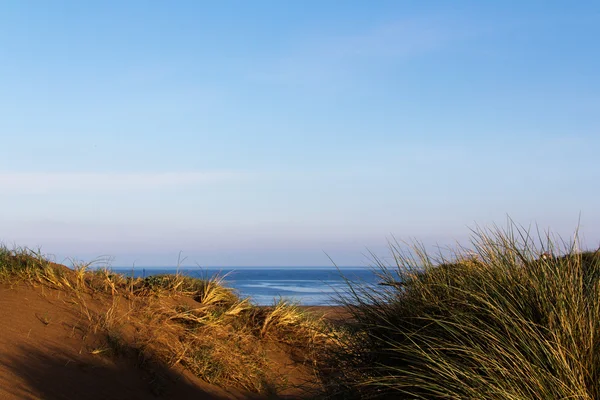 Vista das dunas de areia à beira-mar de Bude — Fotografia de Stock