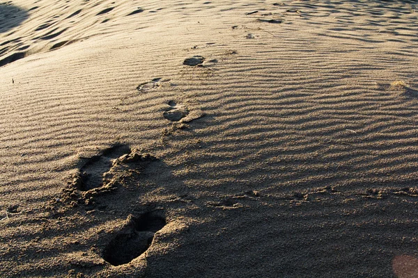 波紋でビーチの砂の上の足跡 — ストック写真