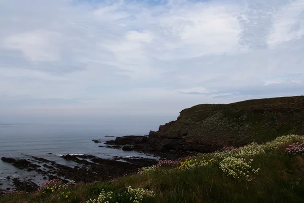 Bude Cornwall yakınındaki kıyı şeridi üzerinde göster — Stok fotoğraf