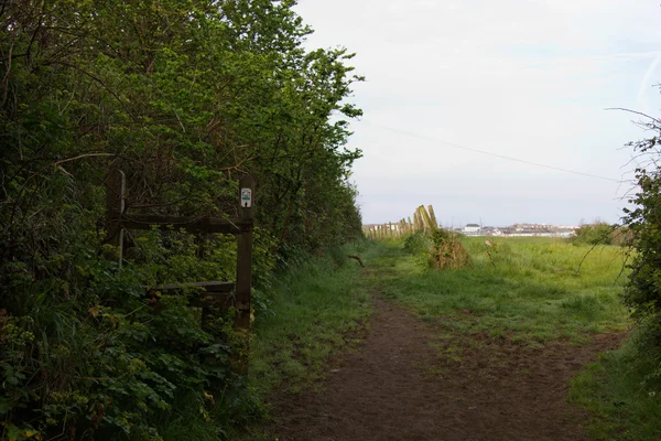 Zobacz na ścieżce kraju w Bude Cornwall — Zdjęcie stockowe